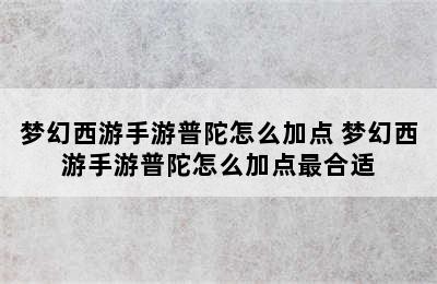 梦幻西游手游普陀怎么加点 梦幻西游手游普陀怎么加点最合适